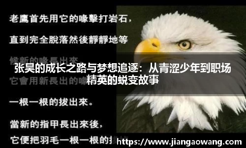 张昊的成长之路与梦想追逐：从青涩少年到职场精英的蜕变故事